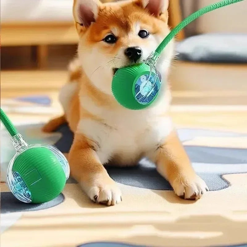 Interactive Ball for Cats and Dogs β Smart Toy for Curious Pets!"