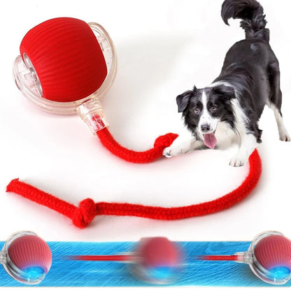 Interactive Ball for Cats and Dogs – Smart Toy for Curious Pets!"
