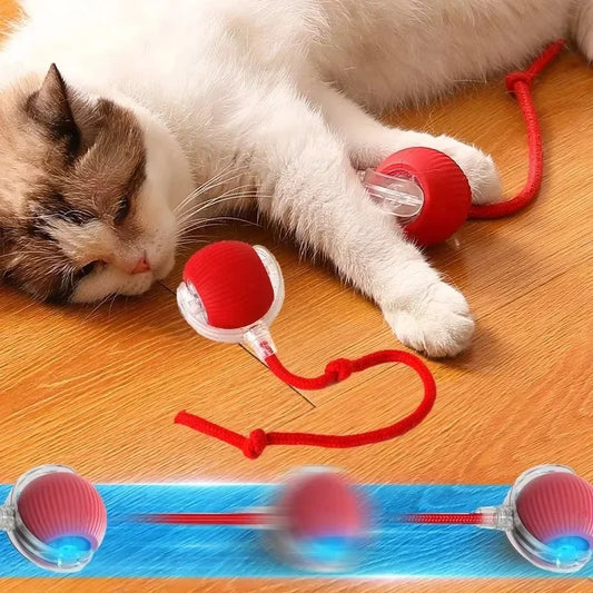 Balle Interactive pour Chats et Chiens – Jeu Intelligent pour Animaux Curieux !